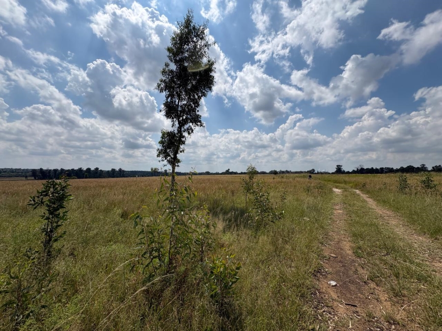 0 Bedroom Property for Sale in Vaalpark Free State